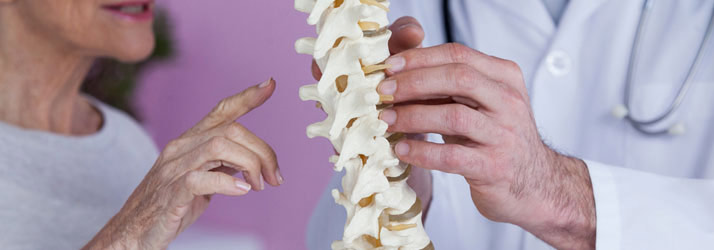 Chiropractic Vineland NJ Back Pain Causes