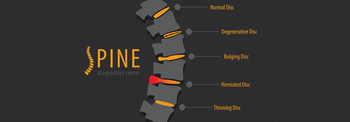 Chiropractic Vineland NJ Spinal Description