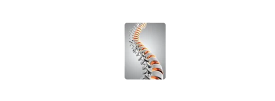 Chiropractic Vineland NJ Back Pain Relief Center